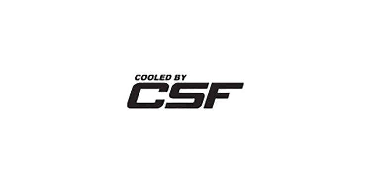 CSF